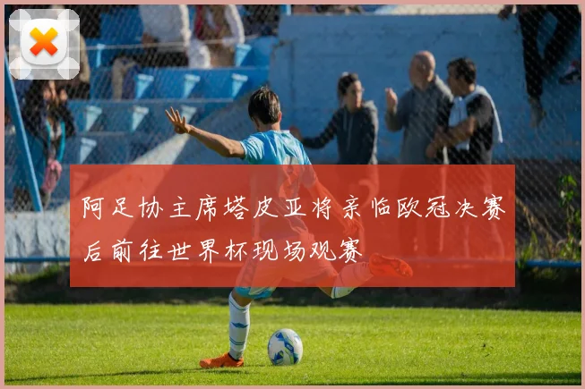 阿足协主席塔皮亚将亲临欧冠决赛后前往世界杯现场观赛