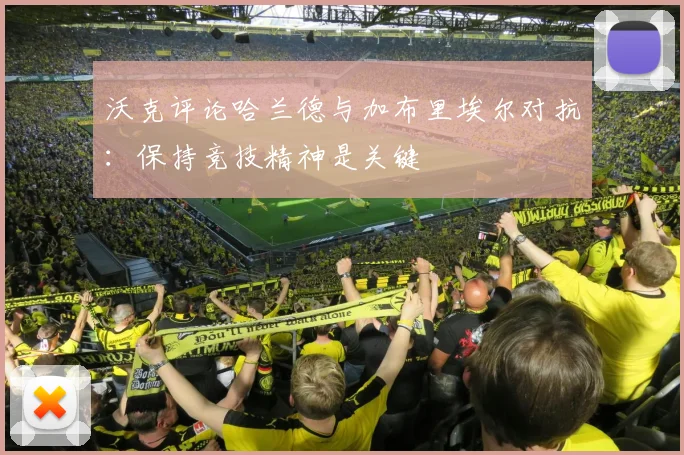 沃克评论哈兰德与加布里埃尔对抗：保持竞技精神是关键
