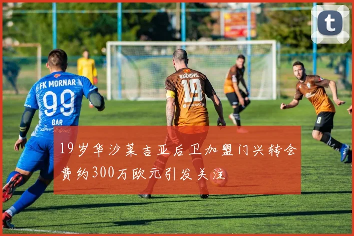 19岁华沙莱吉亚后卫加盟门兴转会费约300万欧元引发关注